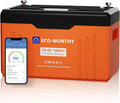 ECO-Worthy LiFePO4 100 Ah accu 24 V lithium batterij met Bluetooth LiFePO4 met 100 Ah, 2560 Wh, Bluetooth en wifi