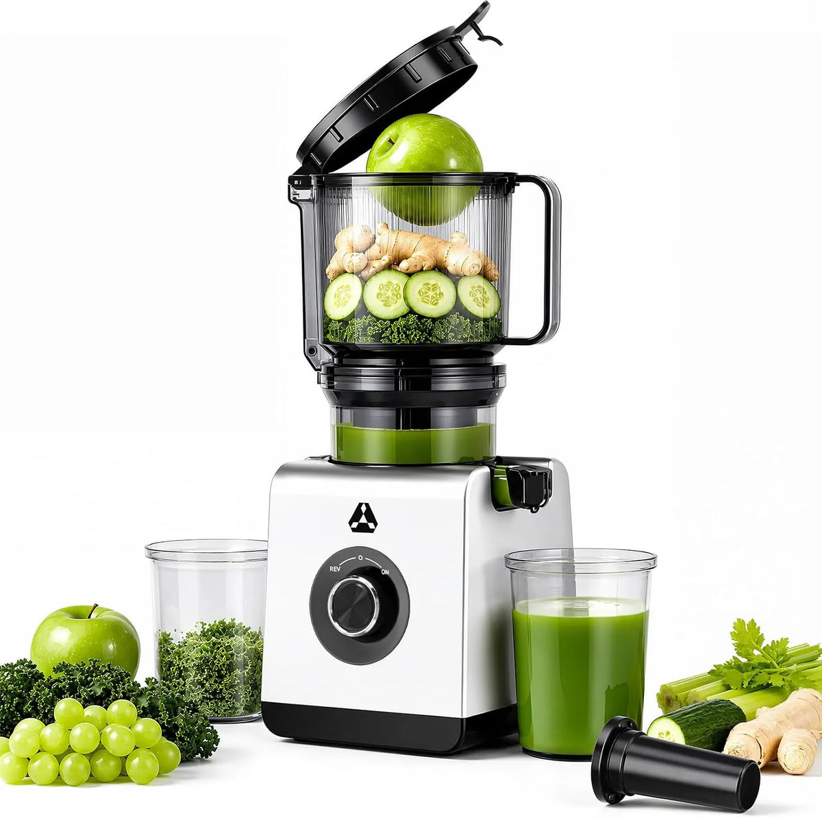 AAOBOSI Sapcentrifuge Slow Juicer met 165 mm, 2,5 L, 600 W, 50 rpm, 3-in-1 en geluidsarme werking