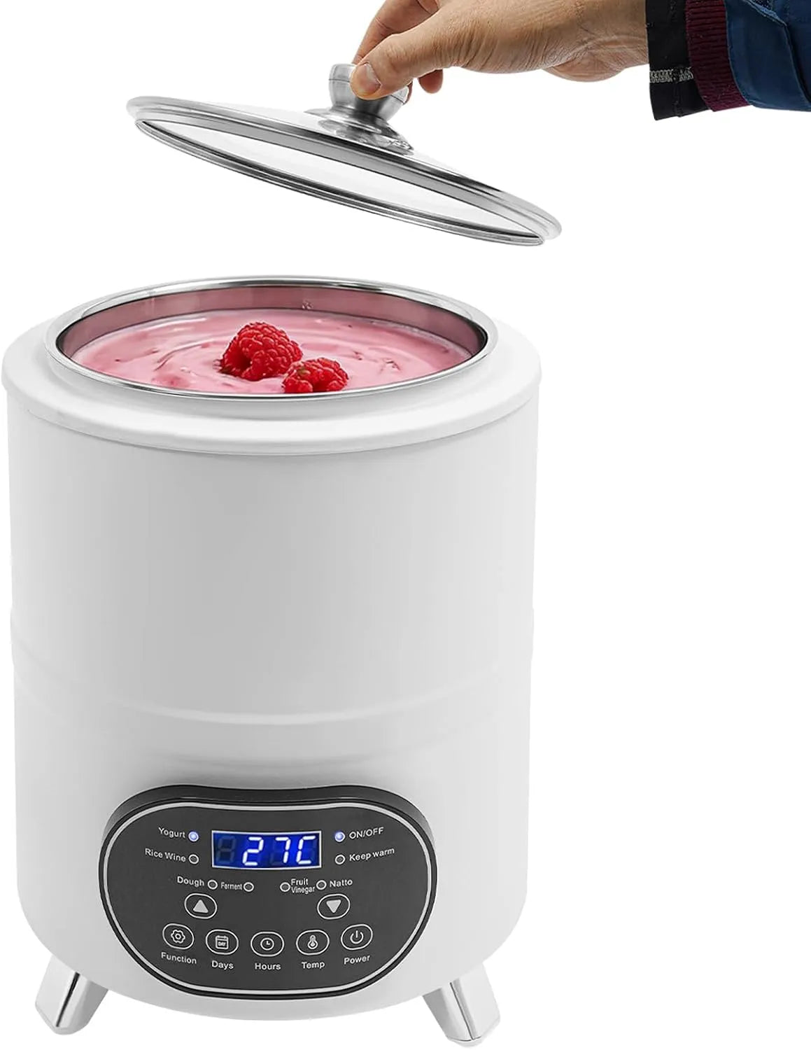 Machine, 8 liter, elektrische fermenteermachine met temperatuurregeling 25-80 °C, yoghurtmachine voor yoghurt, kefir, RVS, met timer, natto, rijstwijn